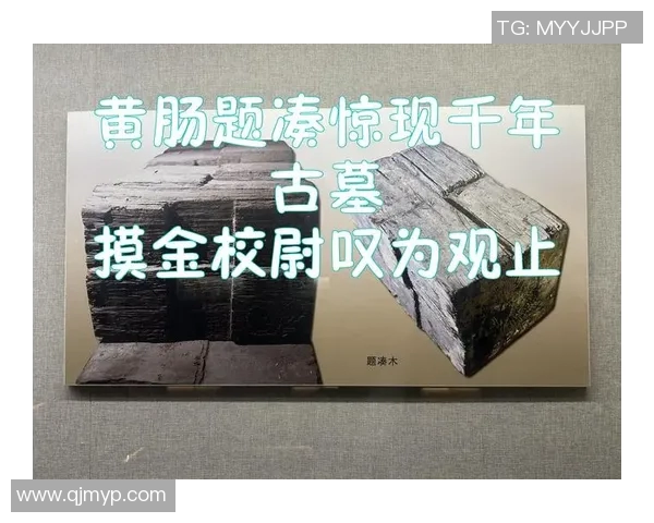 摸金杯雾痕探秘之旅揭开古墓背后的神秘面纱与历史真相