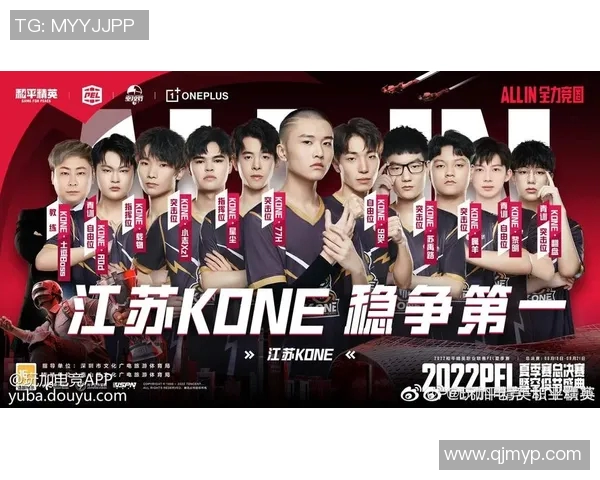 野猫在童家堡的奇幻冒险与PEL的神秘探索之旅